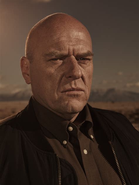 breaking bad hank